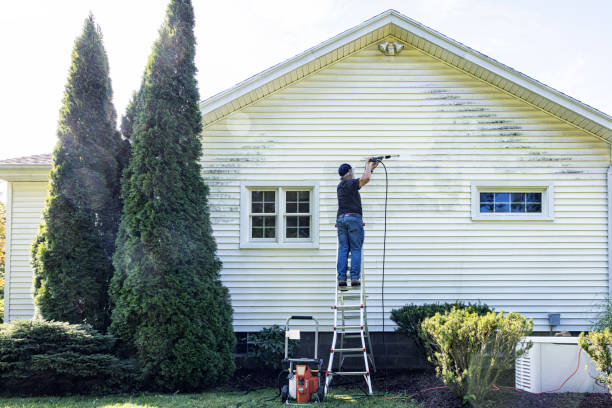 Best Building Exterior Washing  in Muncy, PA